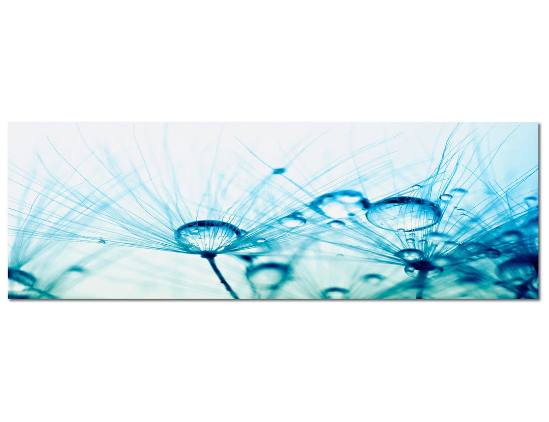 Paul Sinus Art Panoramabild auf Leinwand und Keilrahmen 120x40cm Pusteblume Wassertropfen Tau