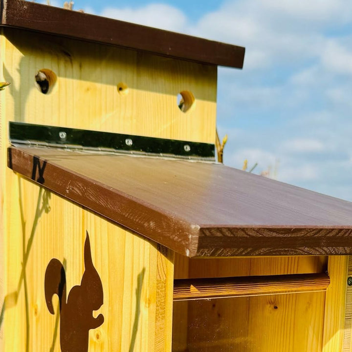 DARLUX Stabiles Eichhörnchen Futterstation I Wetterfest I verschraubtes Massivholz I Futterhaus Mass