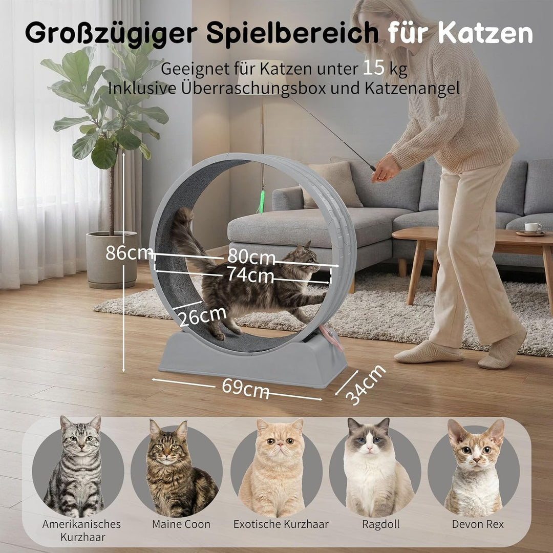 LEADZM Katzenlaufrad 80cm Durchmesser - Laufrad Katze aus Kunststoff, Inklusive Teppich und Katzensp