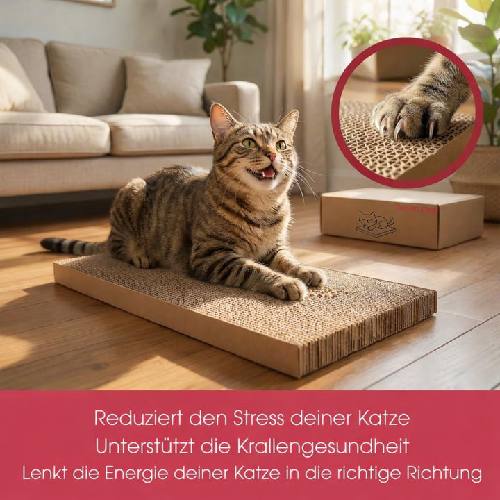 DecoHomeTextil Kratzbrett für Katzen Krallen Kiste mit je 5 Brettern 2X 5er-Set Kratzpappe beidseiti