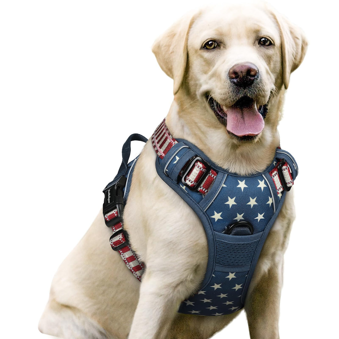 rabbitgoo Hundegeschirr Mittelgrosse Hunde, Anti Zug Geschirr mit Kontrolle, No Pull Verstellbar Hun