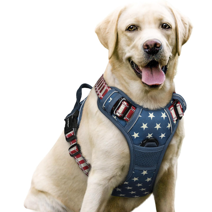 rabbitgoo Hundegeschirr Mittelgrosse Hunde, Anti Zug Geschirr mit Kontrolle, No Pull Verstellbar Hun