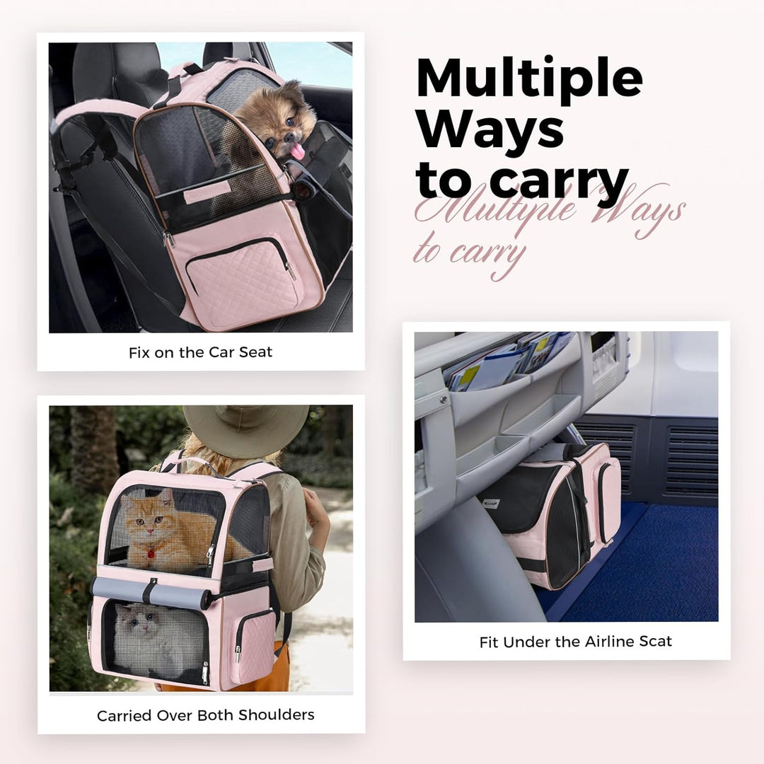 Doppellagige Katzen Rucksack für 2 Katzen Grosse Transport Hunderucksack Faltbare Haustier Rucksack