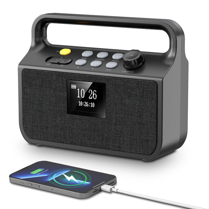 20000mAh Bluetooth Radio mit Handyladefunktion, DAB/FM Radio mit TF Karte, AUX IN, TFT Bildschirm, A