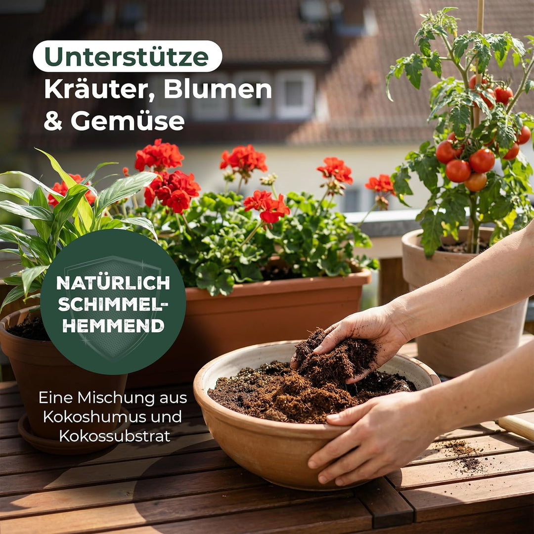 3X Novatool Humusziege fein l 24 Liter | 650g 20x5,5x10 | Terrarium Bodengrund Kokoserde Terrarium R