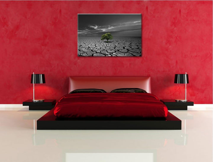 einsamer Baum auf ausgetrocknetem Boden schwarz/weiss Format: 100x70 auf Leinwand, XXL riesige Bilde