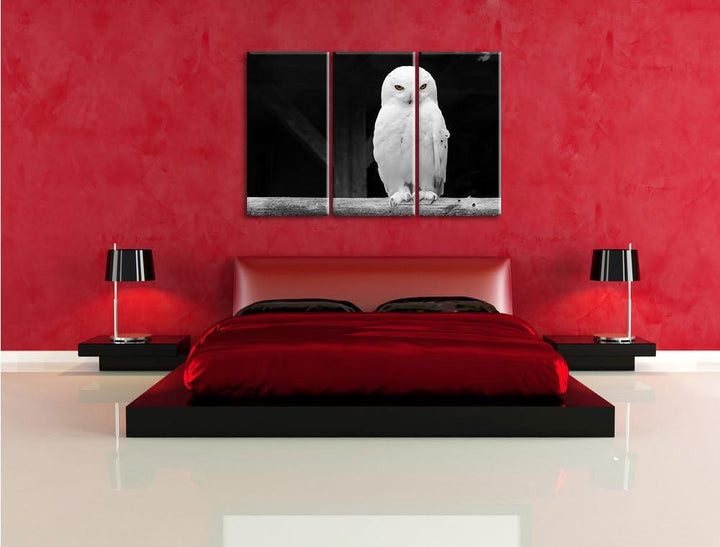 Pixxprint Weisse Schneeeule als Leinwandbild | Grösse: 3 Teilig (120x80) | Wandbild| Kunstdruck | fe