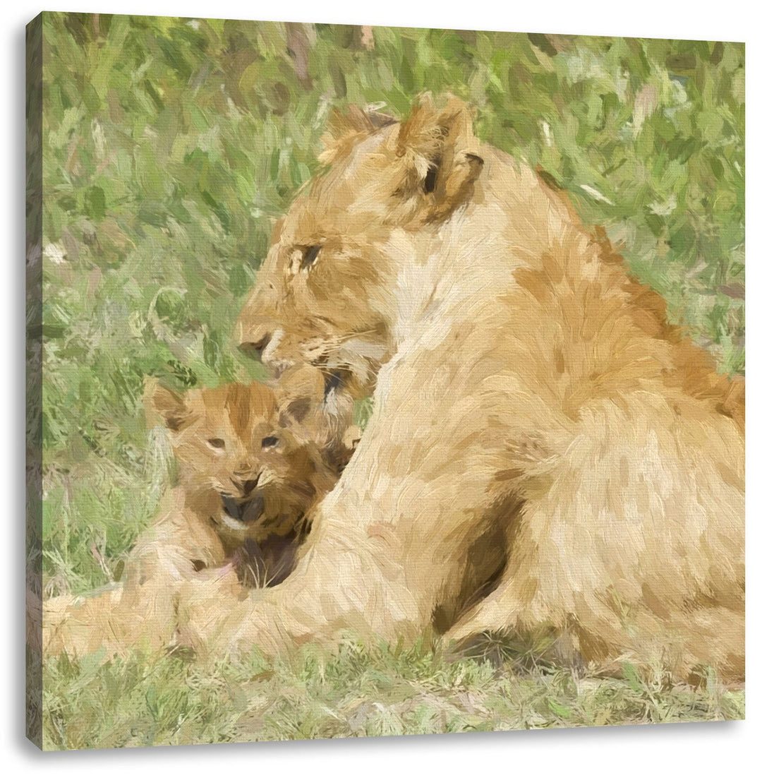 stolzer Löwe in Steppe, Format: 70x70 auf Leinwand, XXL riesige Bilder fertig gerahmt mit Keilrahmen