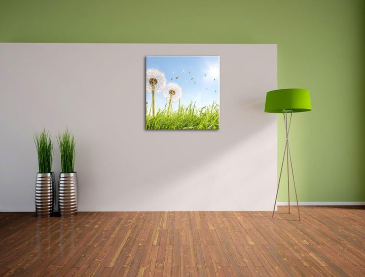 Pixxprint Pusteblumen auf Frühlingswiese / 70x70cm Leinwandbild bespannt auf Holzrahmen/Wandbild Kun