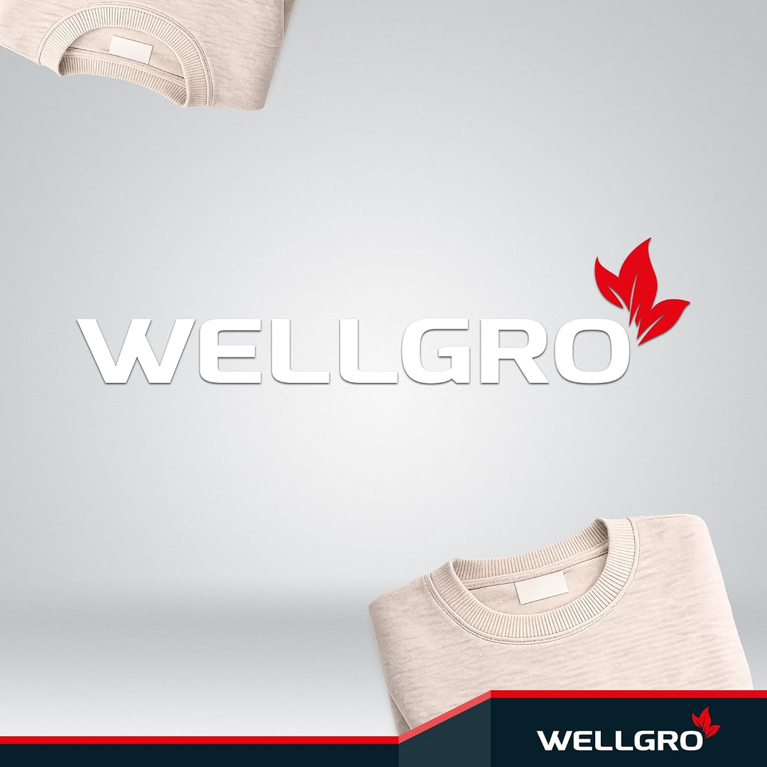 WELLGRO 2er Set Schrankkörbe zum Einhängen aus Metall - ca. 41 x 25 x 14 cm (LxBxH) - schaffen Sie z