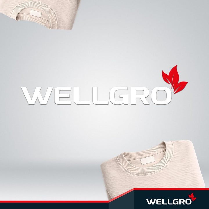 WELLGRO 2er Set Schrankkörbe zum Einhängen aus Metall - ca. 41 x 25 x 14 cm (LxBxH) - schaffen Sie z