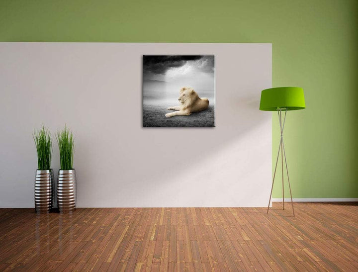 Pixxprint stolzer Löwe in Steppe als Leinwandbild | Grösse: 70x70 cm | Wandbild| Kunstdruck | fertig
