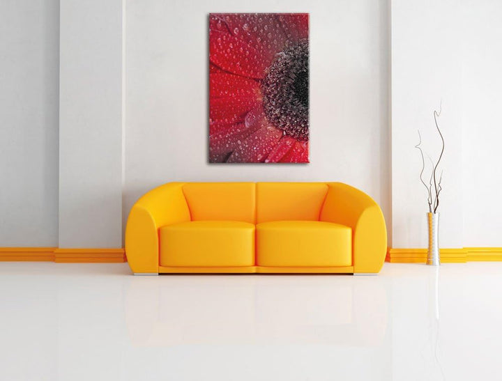 Pixxprint Rote Gerbera mit Wassertropfen als Leinwandbild/Grösse: 120x80 cm/Wandbild/Kunstdruck/fert