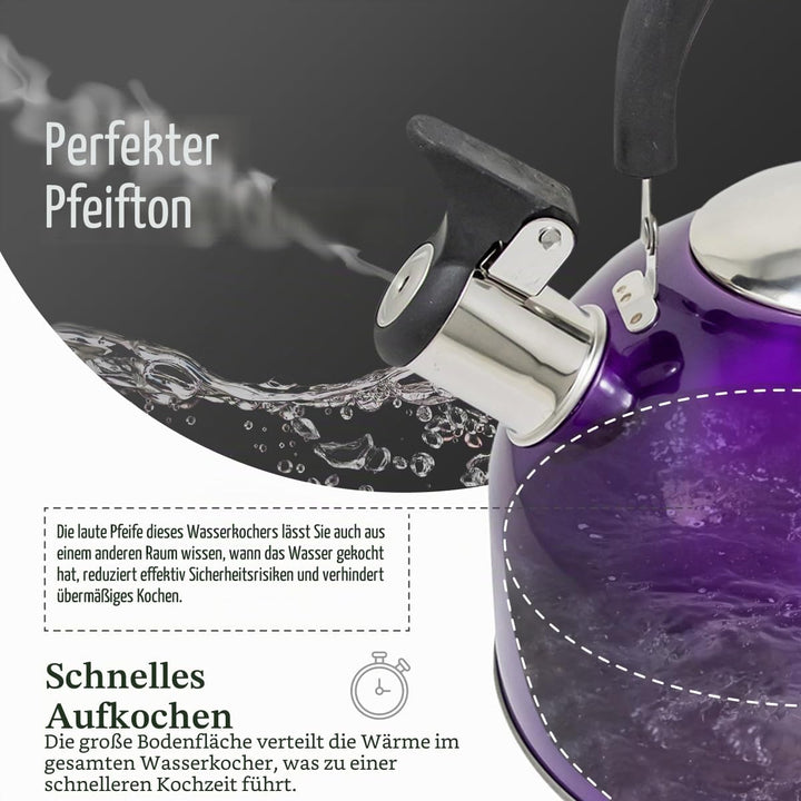 Leichter Wasserkessel mit Pfeiffe aus rostfreiem Edelstahl, Wasserkocher für Camping und Angeln, 2,5