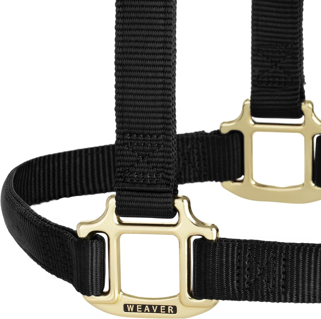 Weaver Leather, nicht verstellbares Halfter Schwarz Large Horse, Schwarz Large Horse