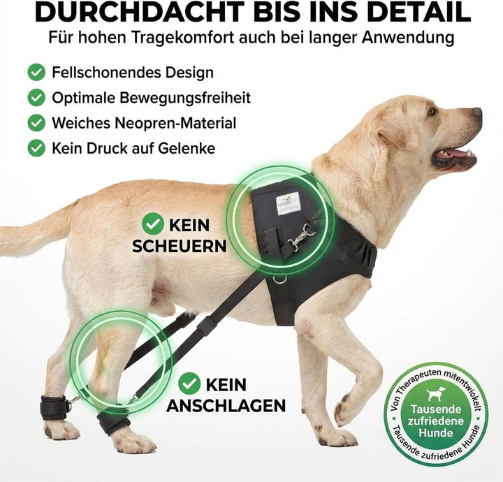 Nature Pet Hundeexpander &amp; Rehageschirr für Hunde – Flexipander zur Rehabilitation, Mobilitätshilfe