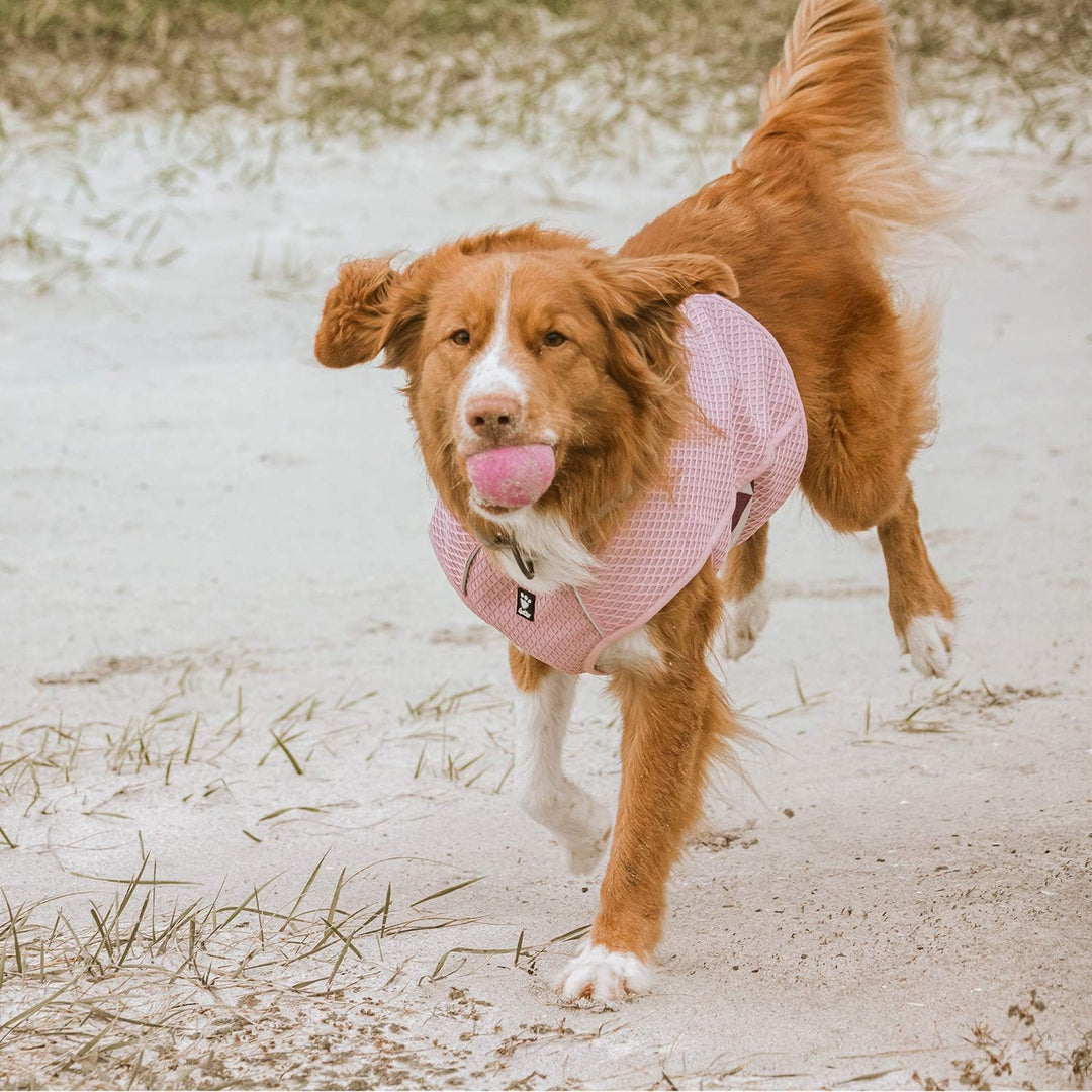 Hurtta Cooling Wrap Kühlweste für Hunde, Kühlweste Sommer Hundejacke, Rosa, 45-55cm Carnation Pink 4