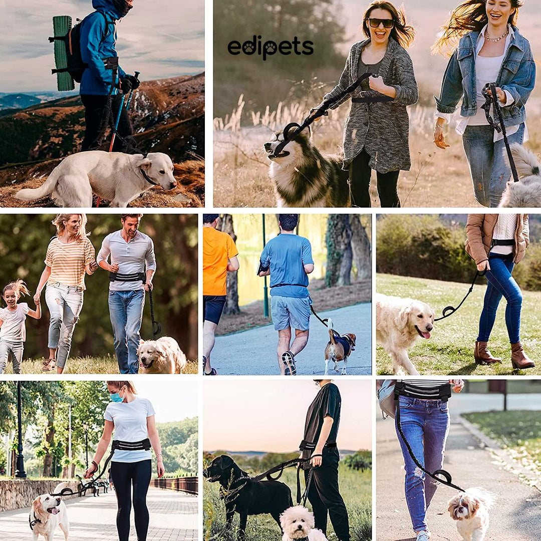 Edipets, Joggingleine Hunde, Freihändig, Laufen, Wandern, Gurtband, Anti-Stress, Reflektierend, 160-