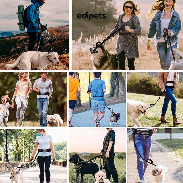 Edipets, Joggingleine Hunde, Freihändig, Laufen, Wandern, Gurtband, Anti-Stress, Reflektierend, 160-