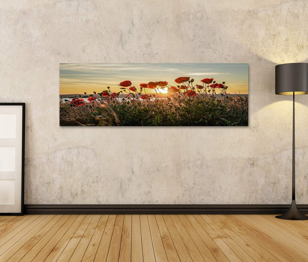 islandburner Bild auf Leinwand Roter Mohn Sonnenuntergang Mönchgut Ostseeinsel Rügen Bilder Wandbild