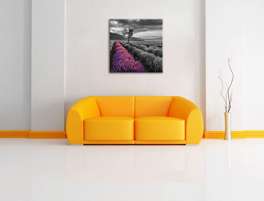 Pixxprint Lavendelfeld mit einsamen Baum schwarz/weiss, Format: 70x70 auf Leinwand, 70x70