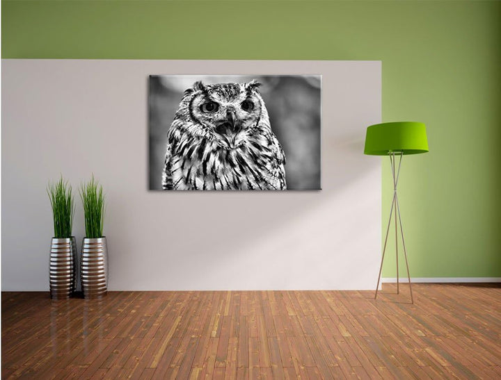 Pixxprint grosse Waldeule gähnt als Leinwandbild/Grösse: 100x70 / Wandbild/Kunstdruck/fertig bespann