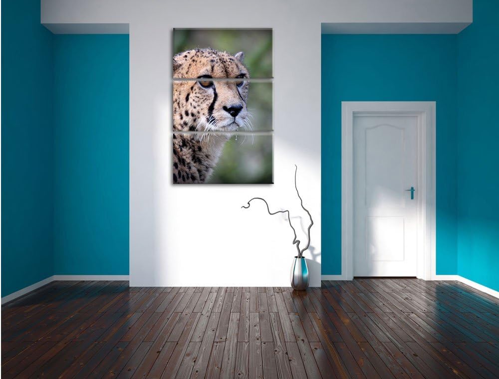 Pixxprint bildschöner Gepard als Leinwandbild/Grösse: 3 Teilig (120x80) cm/Wandbild/Kunstdruck/ferti