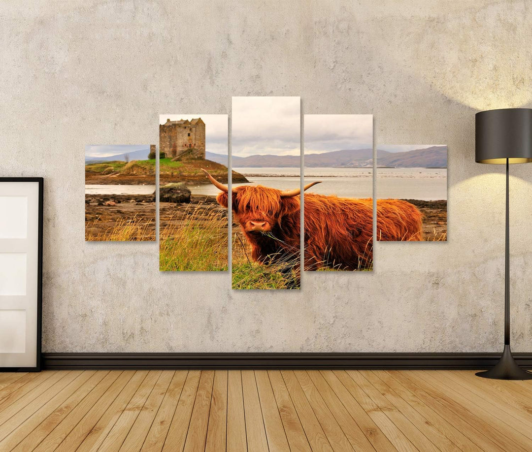 islandburner Bild auf Leinwand Hochlandkuh Loch Linnhe Schottland Bilder Wandbilder Poster Leinwand