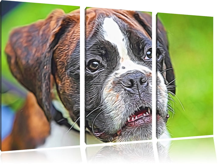 Deutscher Boxer Welpe im Gras NewArt 3-Teiler Leinwandbild 120x80 Bild auf Leinwand, XXL riesige Bil