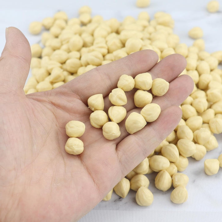 Künstliche Haselnuss Kerne 500g (475Pcs) gefälschte Nüsse für Home Kitchen Table Mittelstück Schrank