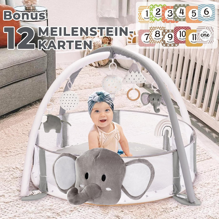 Mallify 5-in-1 XL Baby Spielbogen mit Spielmatte, Spielplatz & Bällebad, Kombiniertes Baby-Spielcent