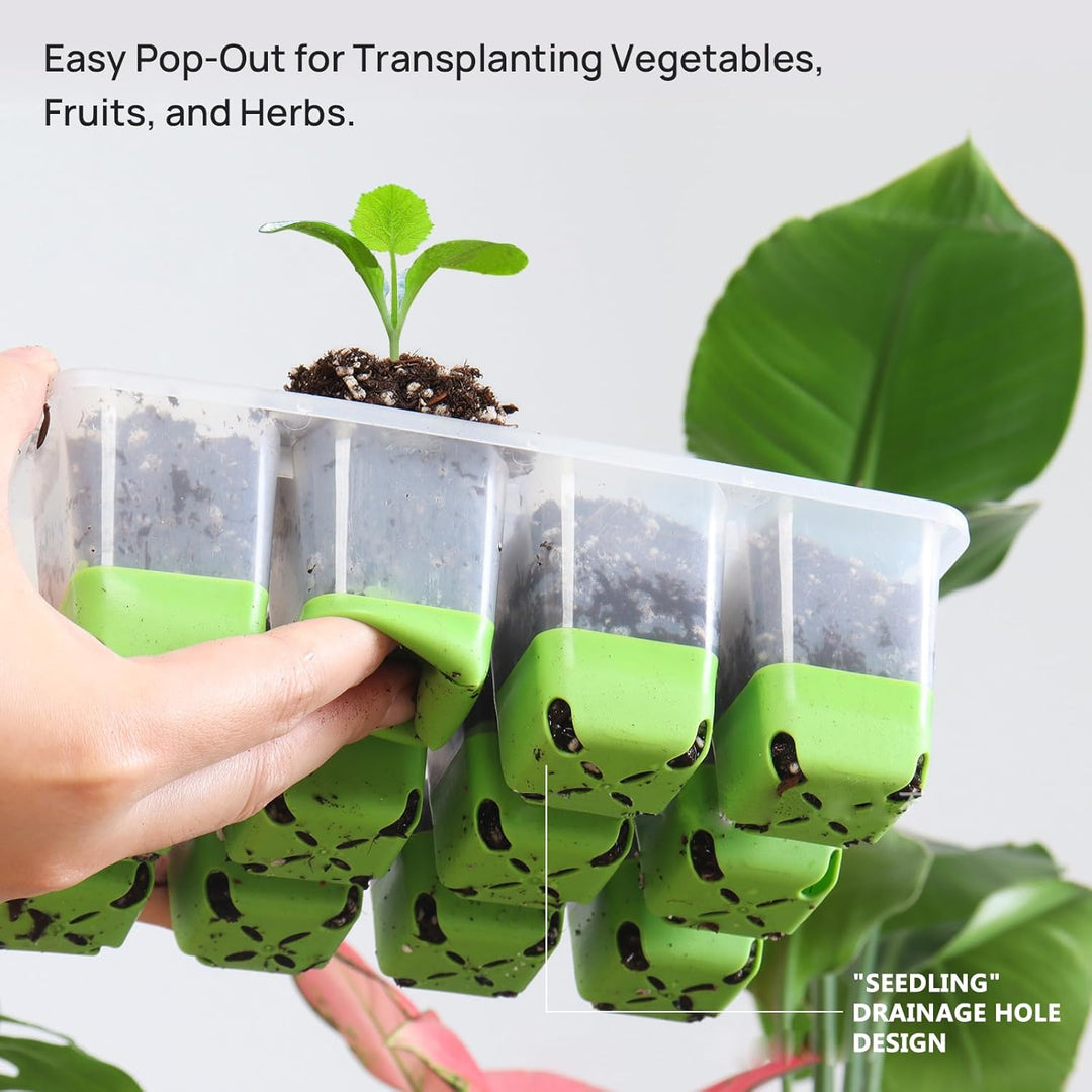 Zimmergewächshaus Anzuchtkasten: Wiederverwendbar Anzuchtplatte Topfplatte 4 Stück 12 Pflanzlöchern,