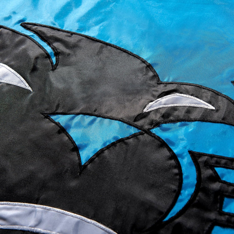 Carolina Panthers bestickte Nylon-Flagge