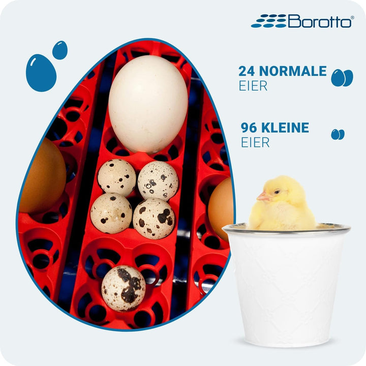 Borotto Real 24 Inkubator, Vollautomatische Ei Wendung für 24 Eier oder 96 kleine Eier, mit Luftbefe