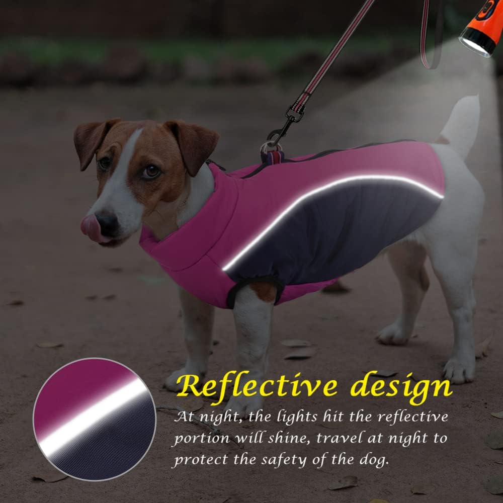 Didog Warmer Hundemantel für kleine Hunde und Katzen, mit Fleece gefüttert, reflektierende Hundejack