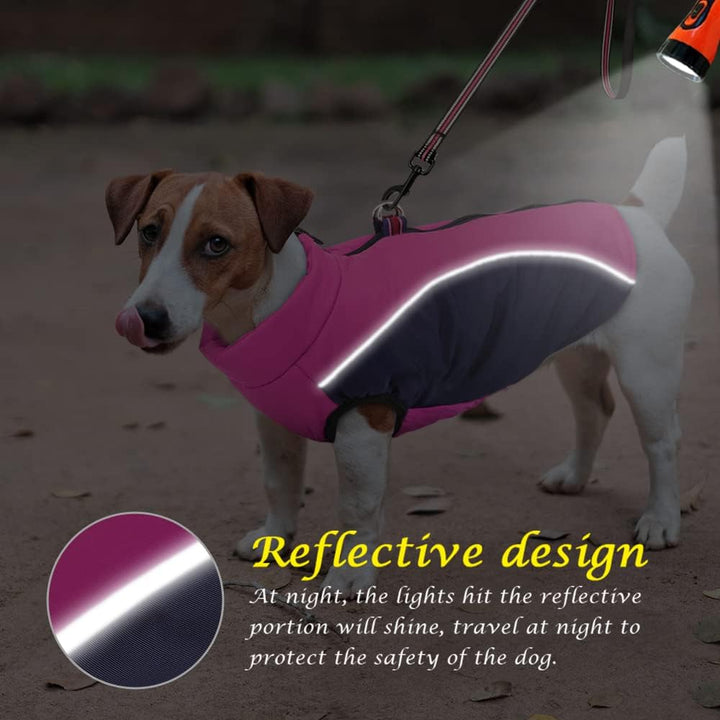 Didog Warmer Hundemantel für kleine Hunde und Katzen, mit Fleece gefüttert, reflektierende Hundejack
