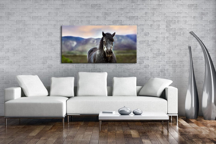 stolzes Pferd Panorama 120x60 cm als Leinwandbild, Motiv fertig gerahmt auf Echtholzrahmen, Hochwert