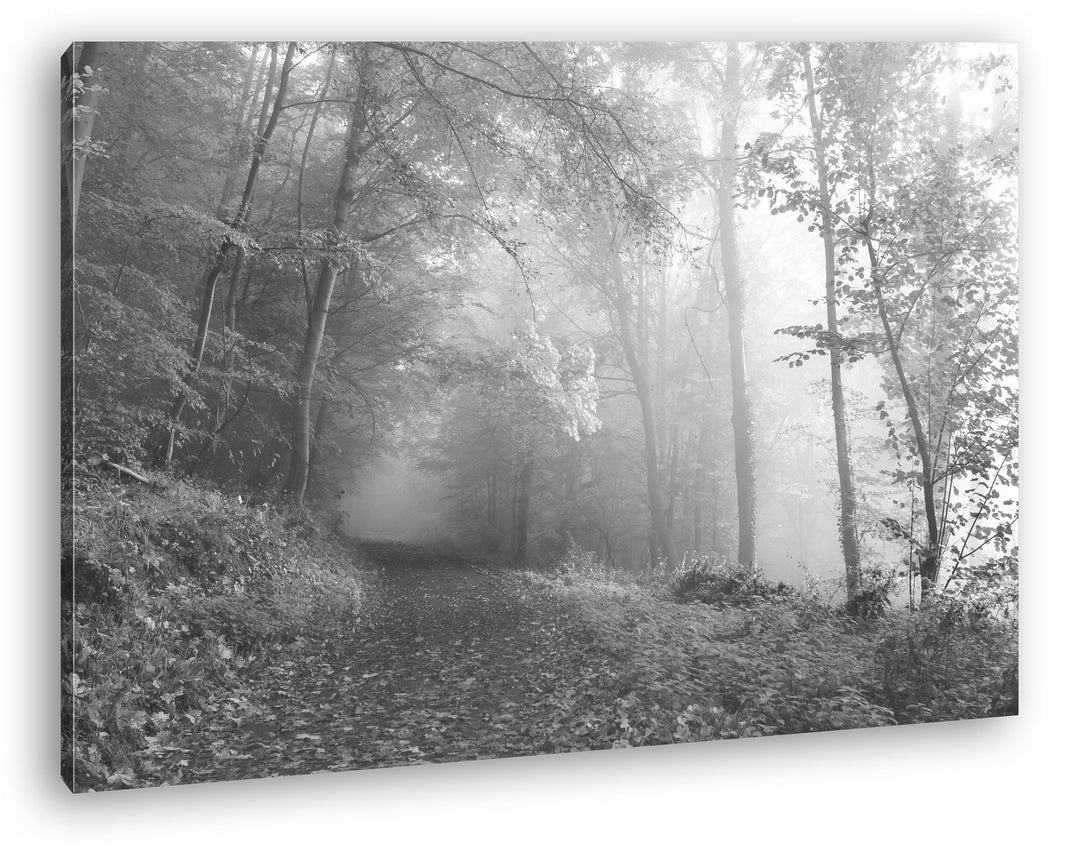 deyoli vernebelter Waldweg im Herbst Effekt: Schwarz/Weiss Format: 80x60 als Leinwand, Motiv fertig