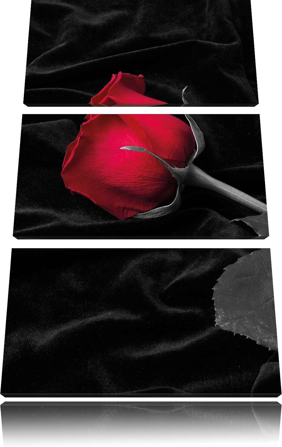 Pixxprint rote Rose gebettet auf schwarzem Samt als Leinwandbild/Grösse: 3 Teilig (120x80 cm) cm/Wan