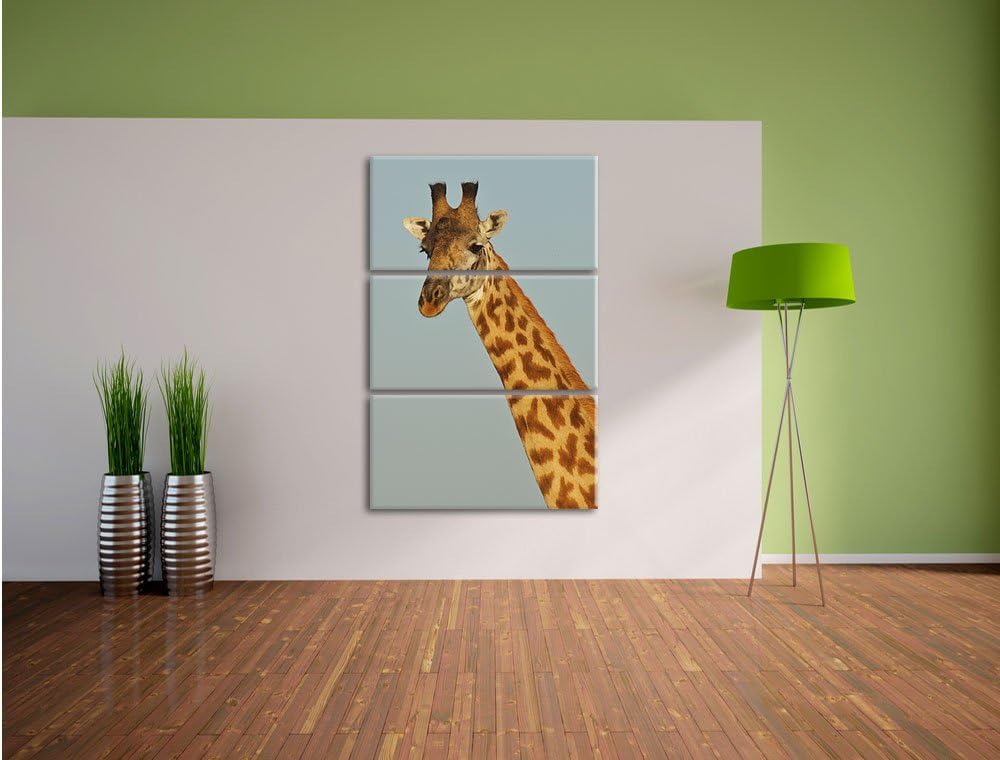 Pixxprint majestätische Giraffe als Leinwandbild/Grösse: 3 Teilig (120x80) cm/Wandbild/Kunstdruck/fe