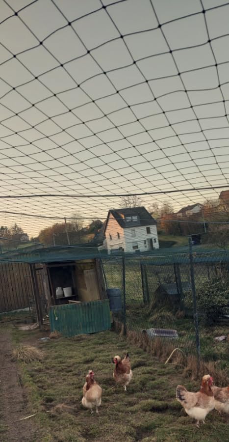 Teichnetz - 5,0m x 10,0m, Mw 10,0cm, geknotet, dunkelgrün, Reiherschutznetz Vogelabwehrnetz