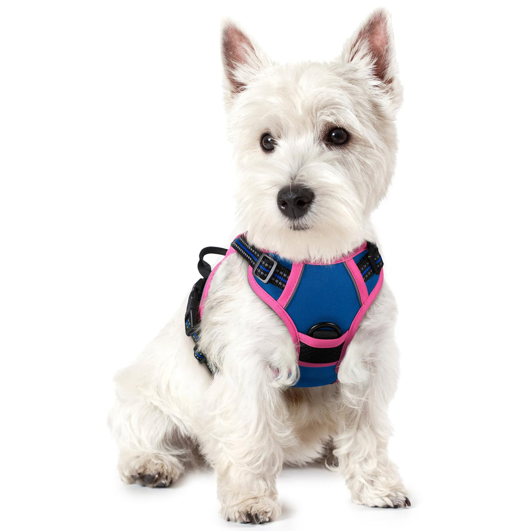 rabbitgoo Hundegeschirr Mittelgrosse Hunde, Anti Zug Geschirr mit Kontrolle, No Pull Verstellbar Hun