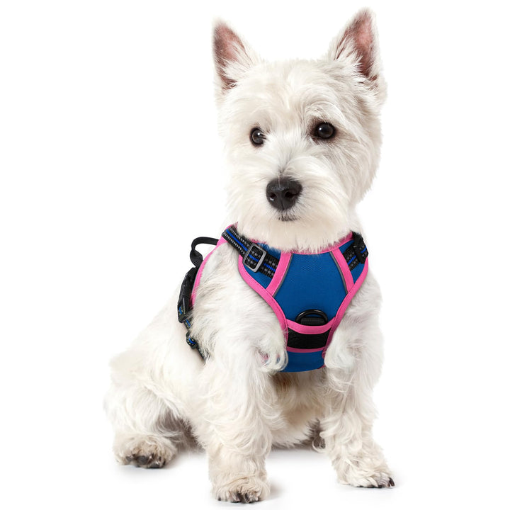 rabbitgoo Hundegeschirr Mittelgrosse Hunde, Anti Zug Geschirr mit Kontrolle, No Pull Verstellbar Hun