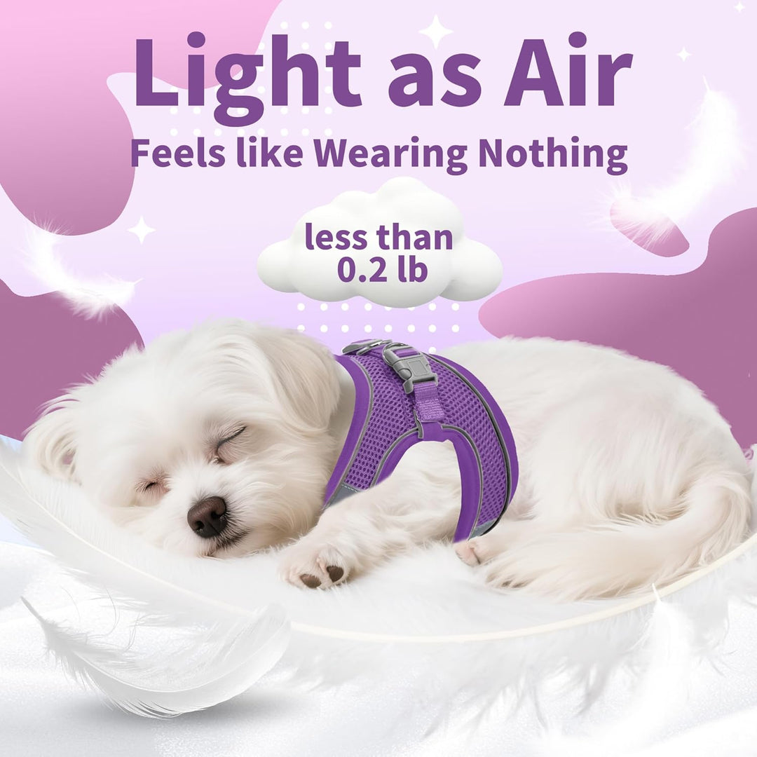 AIITLE Bequemes Hundegeschirr und Leine Set zum Gassi gehen - Step in Vest Harness, Reflektierende B