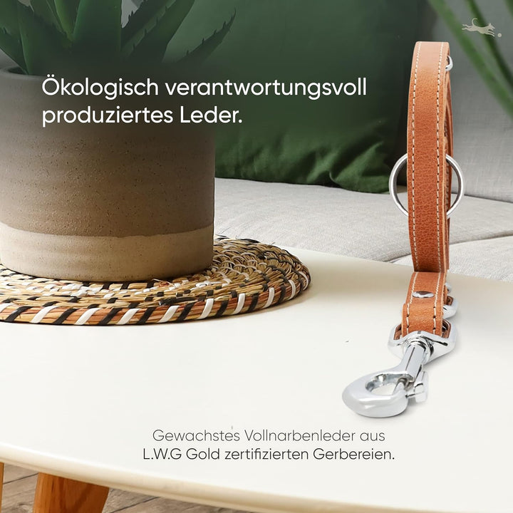 FREUDENTIER® Hundeleine aus zertifiziertem Leder 2m, 3-Fach verstellbare Führleine, liebevoll in Hol