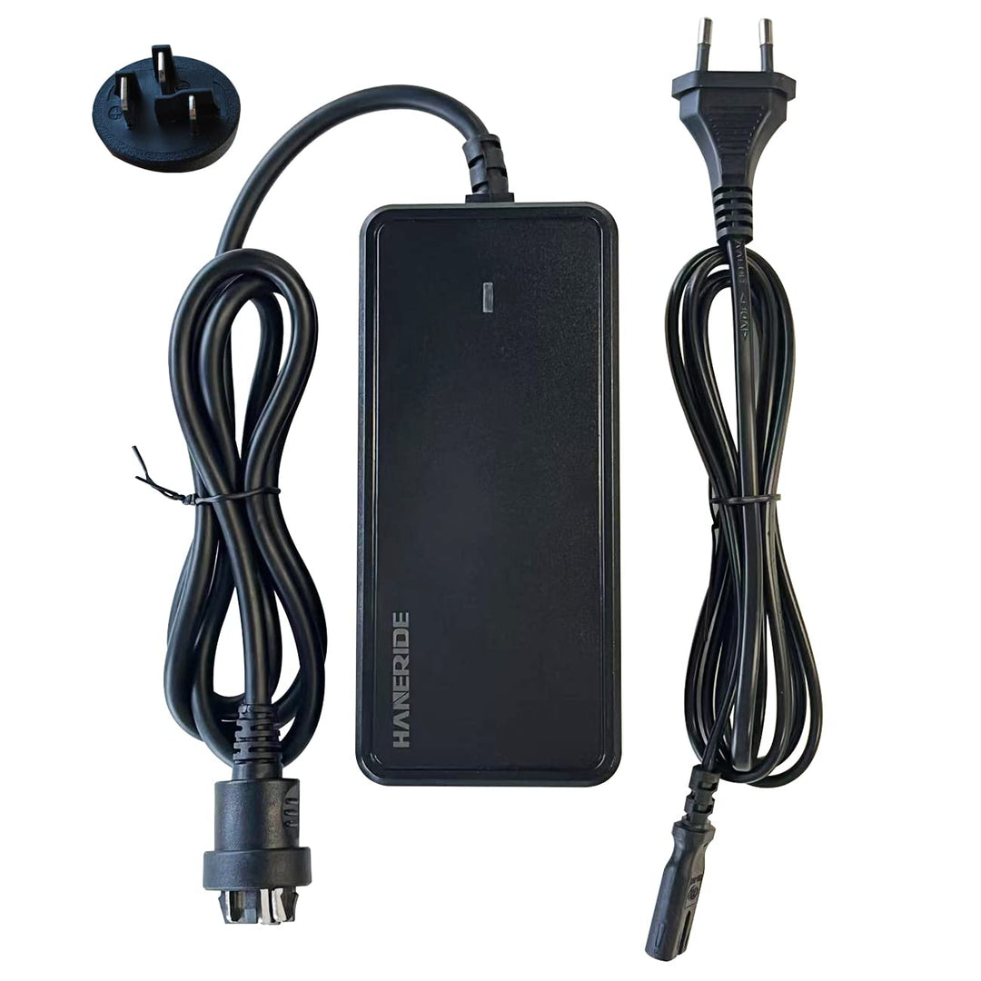 2A Ladegerät for 36V Bosch Active/Performance Line E-Bike Li-ion Batteries(0275007915)