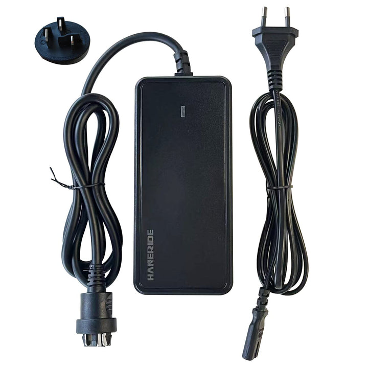 2A Ladegerät for 36V Bosch Active/Performance Line E-Bike Li-ion Batteries(0275007915)