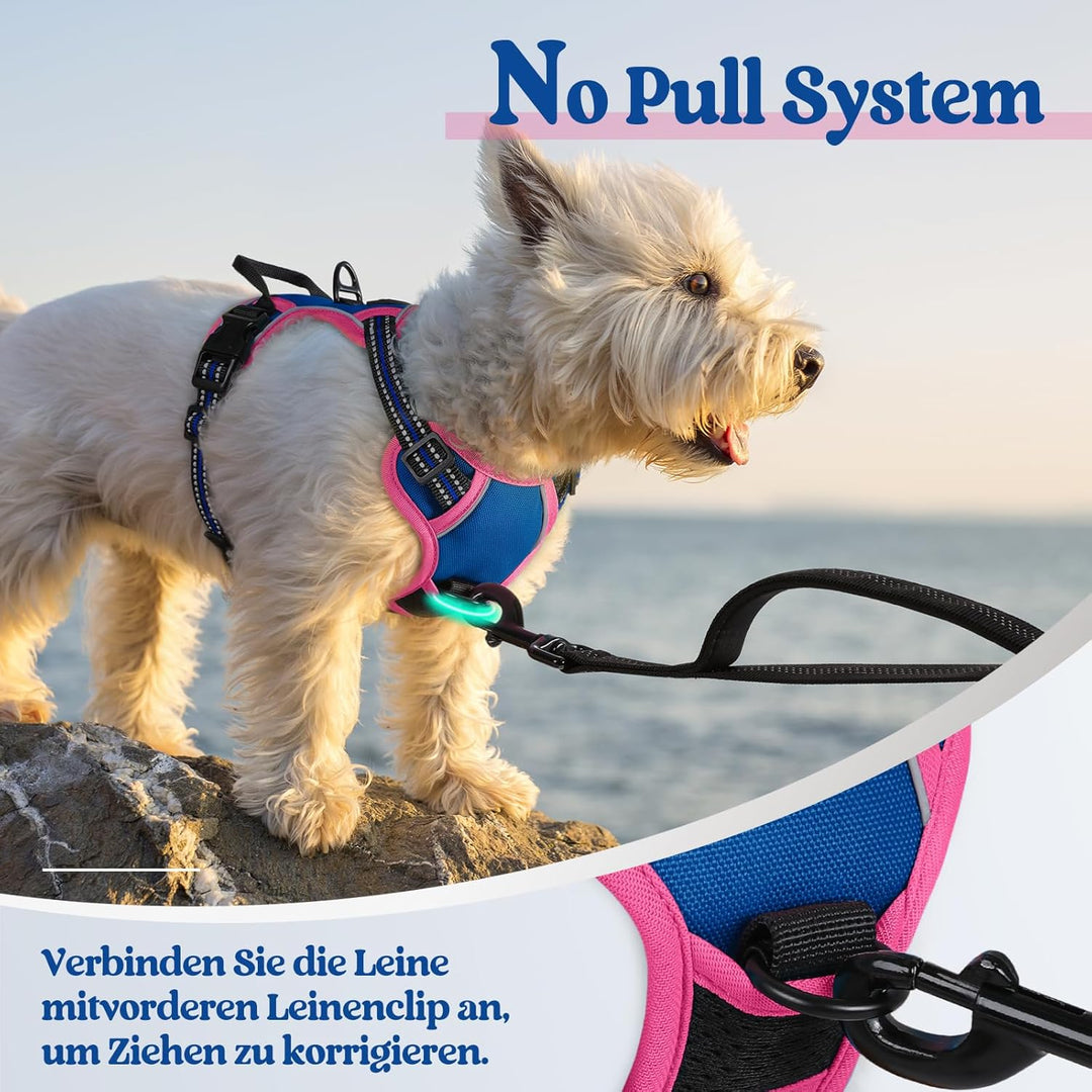 rabbitgoo Hundegeschirr Mittelgrosse Hunde, Anti Zug Geschirr mit Kontrolle, No Pull Verstellbar Hun