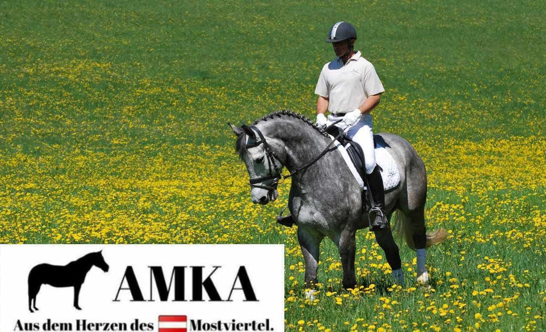 AMKA Wassertrense doppelt gebrochen Edelstahl massiv Stärke 14 mm, Ringe 65 mm, 13,5