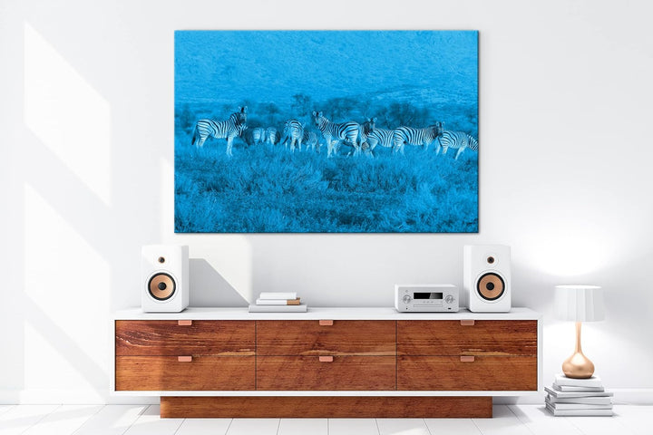 deyoli kleine Zebra Gruppe in der Savanne Format 80x60 Effekt: Monocrome Blau als Leinwandbild, Moti
